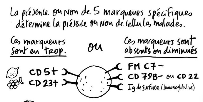 2024-09-01 20.53.19 www.ellye.fr 5e96b23c5b3e