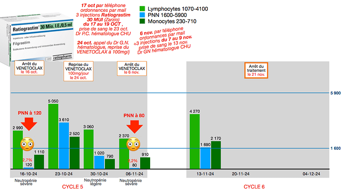 2024-11-13 à 12.51.44