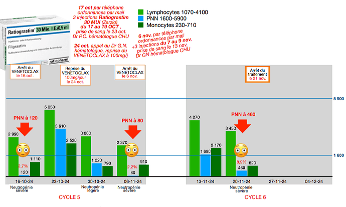 2024-11-20 à 13.04.59