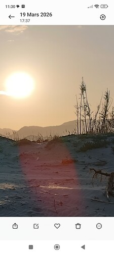 Screenshot_2026-03-20-11-30-19-837_com.miui.gallery