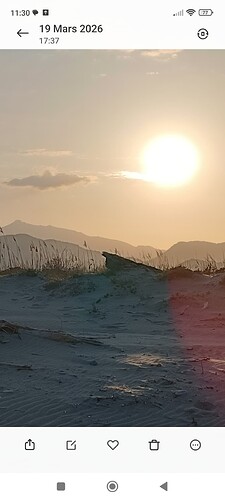 Screenshot_2026-03-20-11-30-12-030_com.miui.gallery