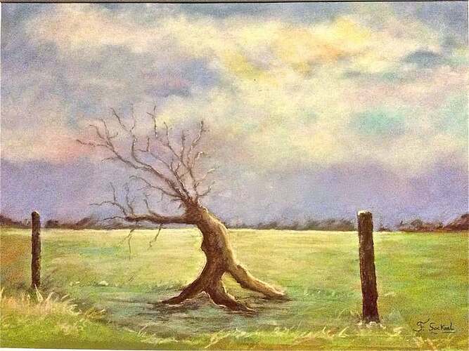 Solitude et Souffrance