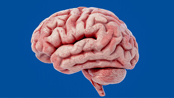 large_landscape_271628