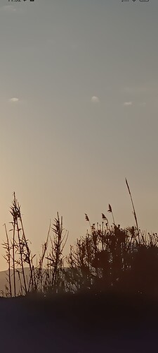 Screenshot_2026-03-20-11-32-13-684_com.miui.gallery