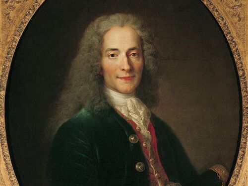 cover-r4x3w1200-6919d1b778277-afp-20250922-175901-v2-midres-portraitofvoltaire16941778after1718oiloncanvas