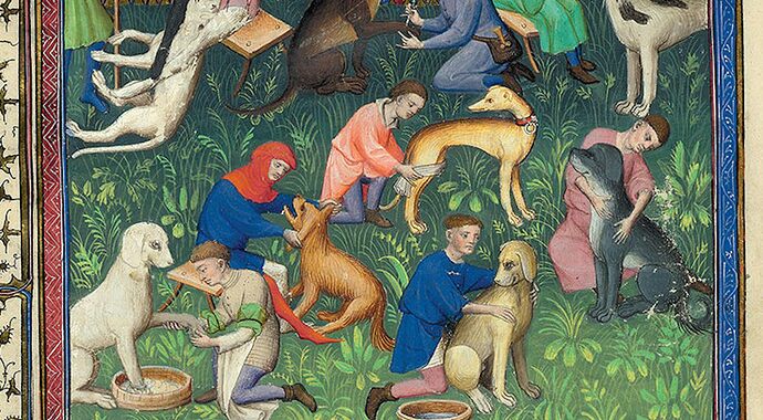 Les chiens au Moyen Âge : ce que les écrits médiévaux nous apprennent sur les animaux de compagnie de nos ancêtres