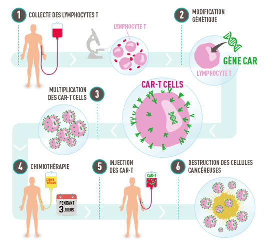 Cart-t cells