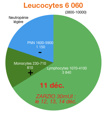 leucocytes 11déc24