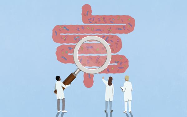 microbiote_intestinal_harmonie_sante