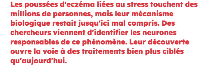 Capture d’écran 2026-03-29 à 19.47.12