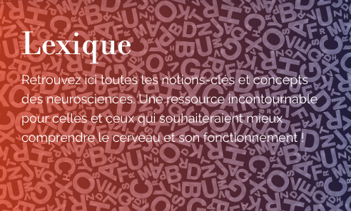 Lexique