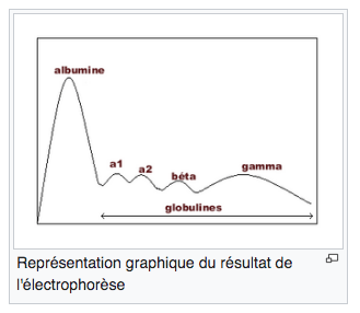Capture d’écran 2025-10-18 à 13.08.26