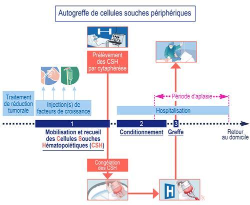 rt2tyqcivwdcknsr6u5gww_orig