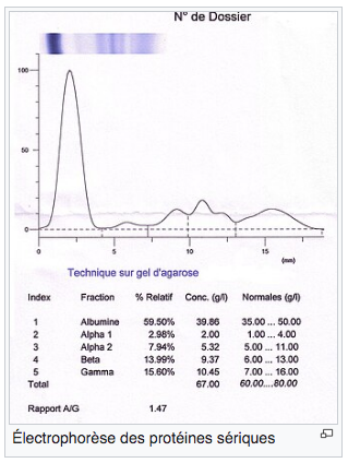 Capture d’écran 2025-10-18 à 13.09.32