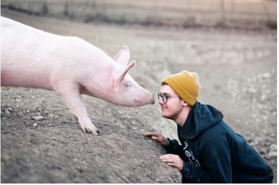 Capture d’écran 2025-11-20 à 10.45.46